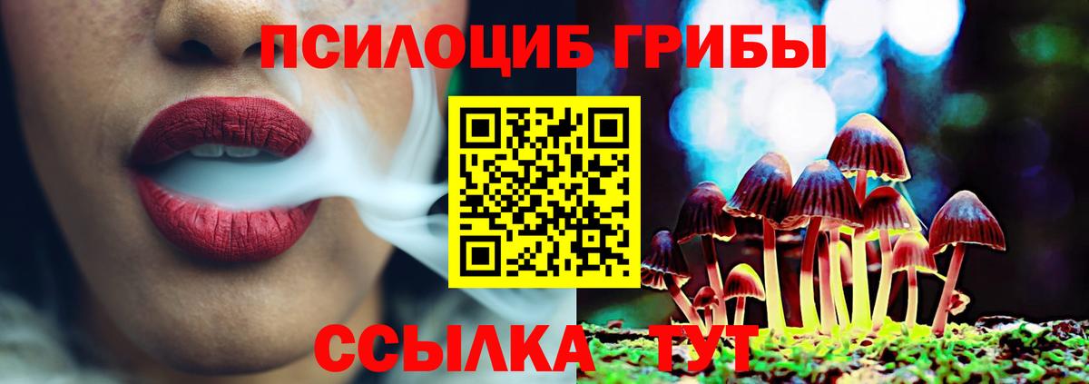 Псилоцибиновые грибы Psilocybine cubensis Барабинск